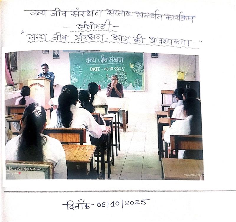 photo gallery